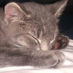 Meet your Posher, Wendy